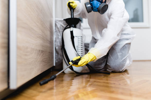 Best Mosquito Control Services  in Bucyrus, OH