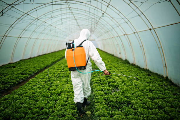 Best Pest Control Treatment  in Bucyrus, OH