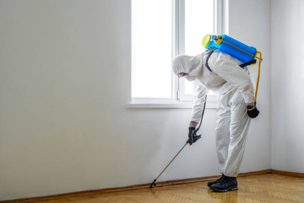 Best Wildlife Control Services  in Bucyrus, OH