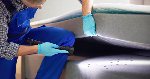 Best Pest Control for Homes  in Bucyrus, OH