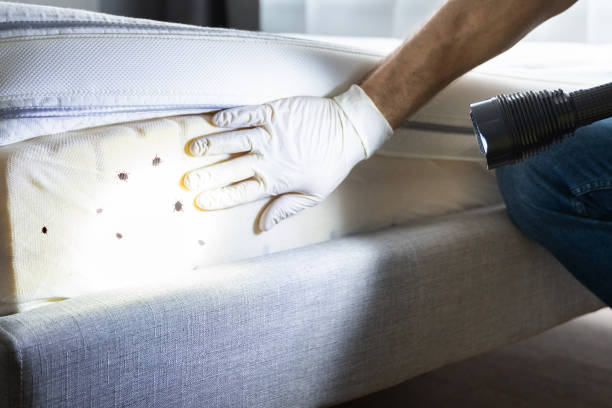 Best Best Pest Control Companies  in Bucyrus, OH