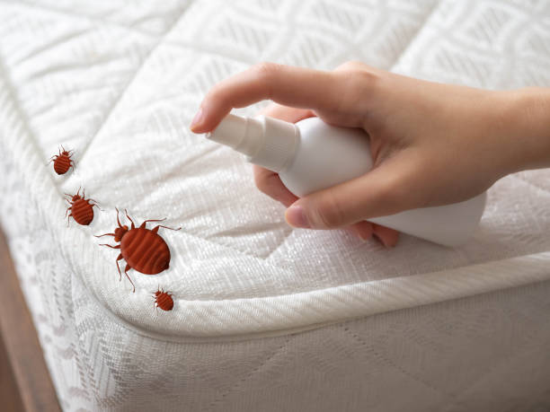 Best Best Pest Control Near Me  in Bucyrus, OH