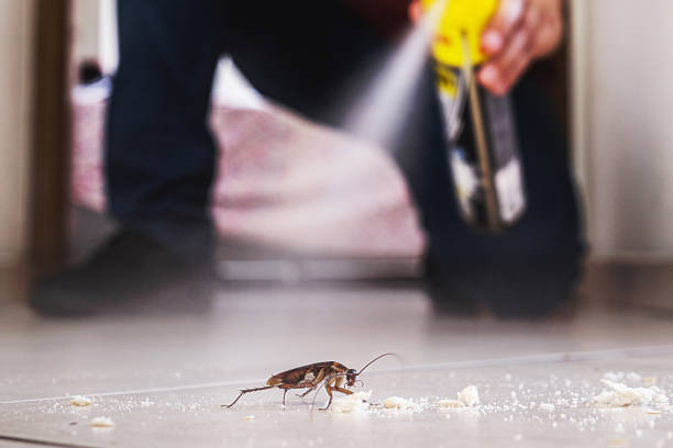 Best Best Pest Control Companies  in Bucyrus, OH