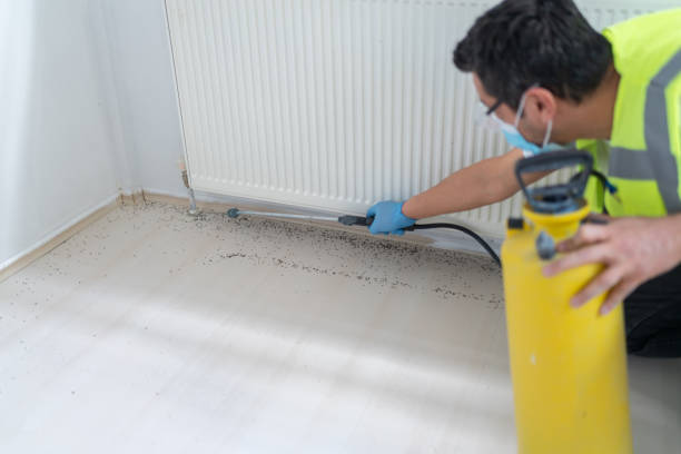 Best Exterminator Services  in Bucyrus, OH