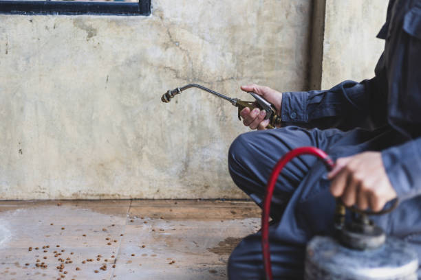 Best Affordable Pest Control Services  in Bucyrus, OH
